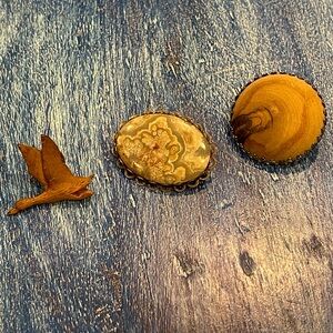 Vintage Wood & Stone Brooch Set